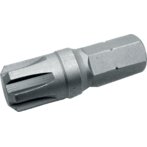 Ribe 10 mm, kratki